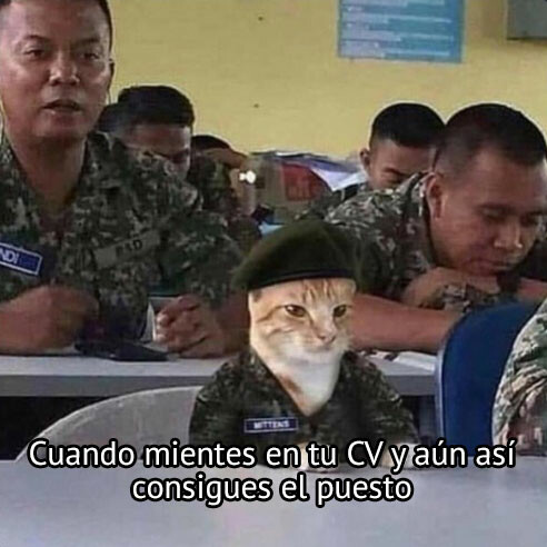 Meme_otros - ¿Qué hago aquí?