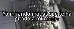 Enlace a Atrévete a hacerlo de nuevo, prro