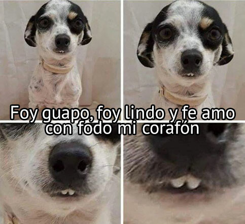 Meme_otros - Fi, con fodo mi corafón de ferro