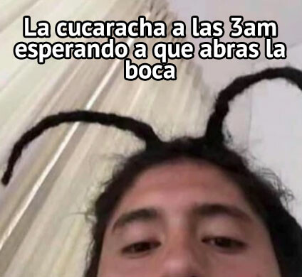 Meme_otros - La cucaracha ya no quiere caminar