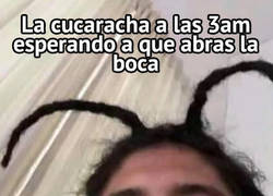 Enlace a La cucaracha ya no quiere caminar