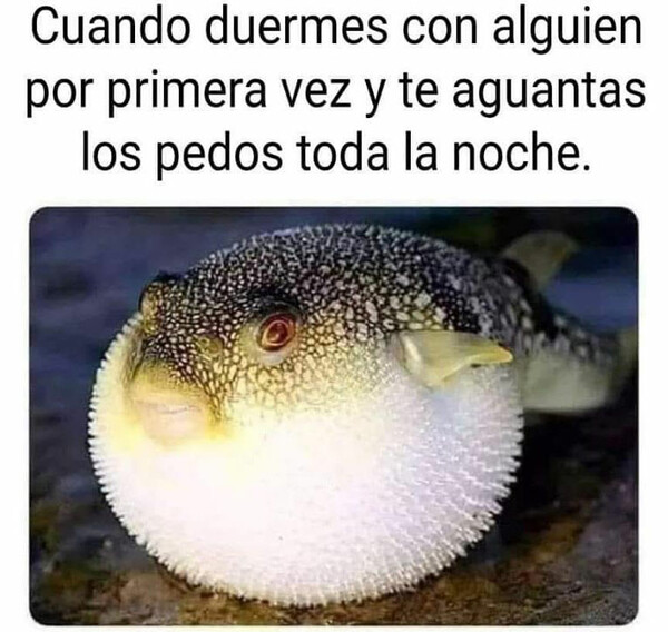 Meme_otros - Hay que mantener la compostura