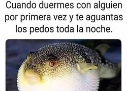 Enlace a Hay que mantener la compostura