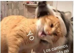 Enlace a Nadie me avisó de esto