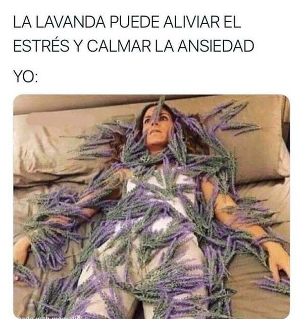 Meme_otros - Necesito un cargamento sólo para aguantar a mi madre