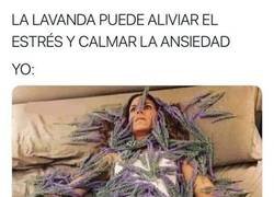 Enlace a Necesito un cargamento sólo para aguantar a mi madre