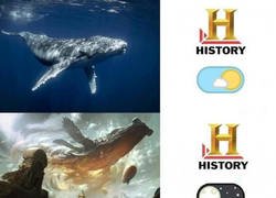 Enlace a Canal historia, modo día vs modo noche