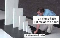 Enlace a El efecto Homo Erectus