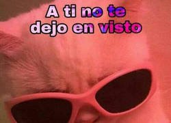 Enlace a Que te quede claro, moñeco