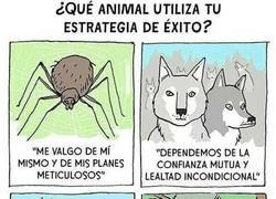 Enlace a Bastante tengo con el árbol, tío