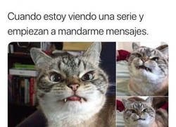 Enlace a SIEMPRE cuando me pongo a ver algo