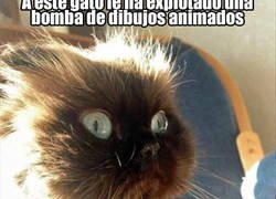 Enlace a La marca A.C.M.E no es de fiar