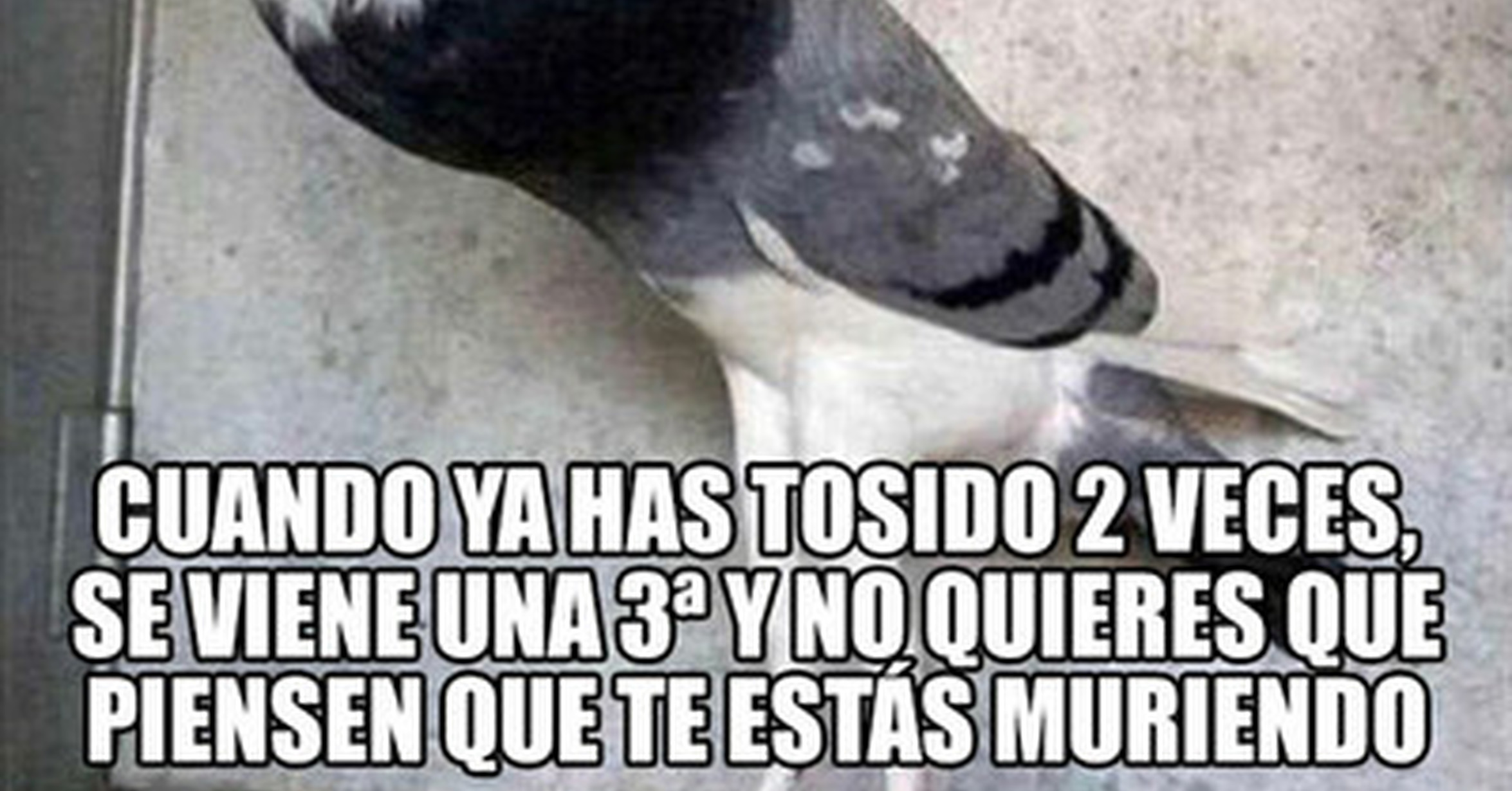 Cuánto cabrón / Estoy podrido por dentro