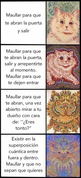 Otros - Nunca acertarás con un gato