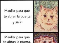 Enlace a Nunca acertarás con un gato