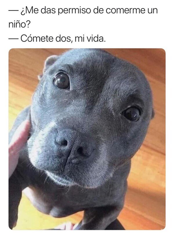 Meme_otros - Cómete dos, mi vida