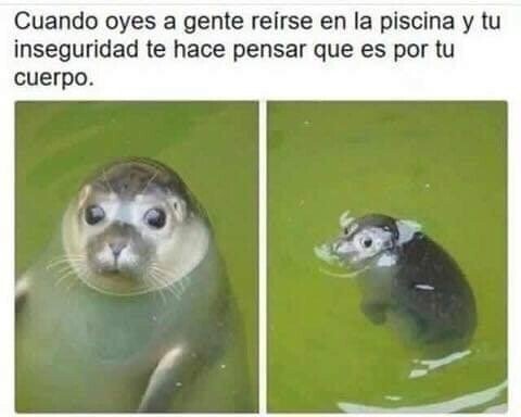 Meme_otros - O en cualquier parte, siempre, a cada minuto de mi existencia