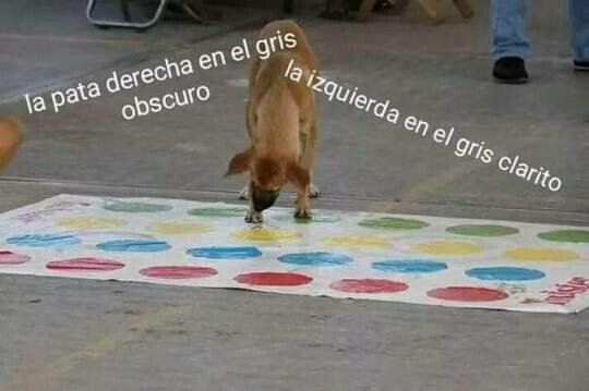 Meme_otros - Soy daltónico, hago lo que puedo, ¿vale?