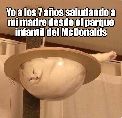 Meme_otros - ¡5 minutos más, mama!