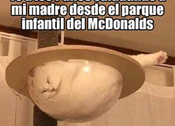 Enlace a ¡5 minutos más, mama!