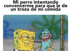 Enlace a Firulais, que no cuela... bueno, toma