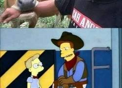 Enlace a La única clave es la supervivencia propia