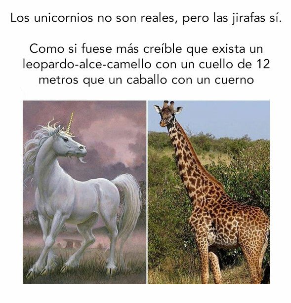 Meme_otros - Que baje Dios y me lo explique