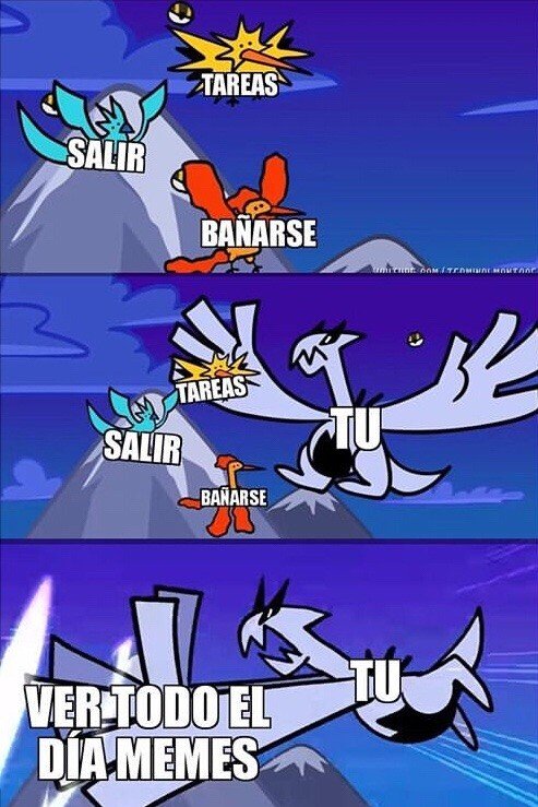 Meme_otros - Se recomienda un bloque de memes cada 2 - 3 horas