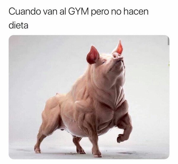 Meme_otros - Soy un tocinillo fibrado