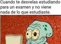 Enlace a El karma es una perra