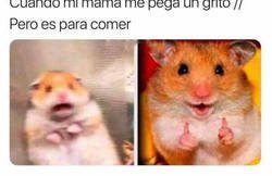 Enlace a Un grito de una madre es peor que un aviso de terremoto