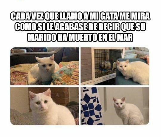 Meme_otros - Puedo ver el drama en sus ojos