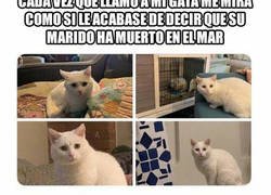 Enlace a Puedo ver el drama en sus ojos