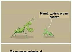 Enlace a Crujientito