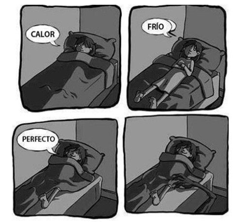 Otros - Calor, frio, perfecto, monstruo
