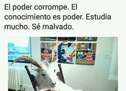 Enlace a Se malvado, se poderoso, estudia