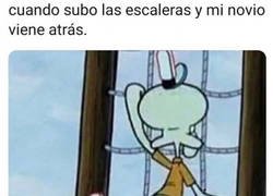 Enlace a Es algo inevitable