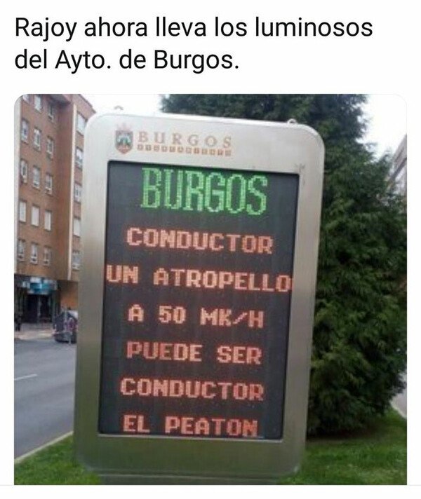 Meme_otros - Nunca pensé que iba a echar de menos a ese ser
