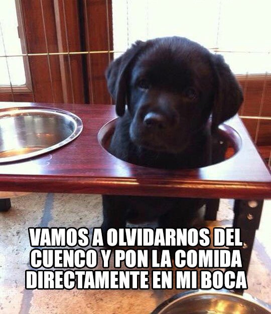 Meme_otros - He dicho en mi boca, DIRECTAMENTE