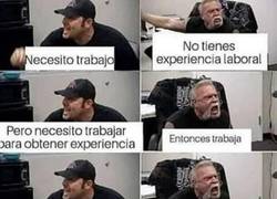 Enlace a El ciclo de la vida