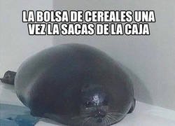 Enlace a Una vez la sacas, ingéniatelas para meterla otra vez