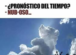Enlace a Se ha quedado un día nub oso