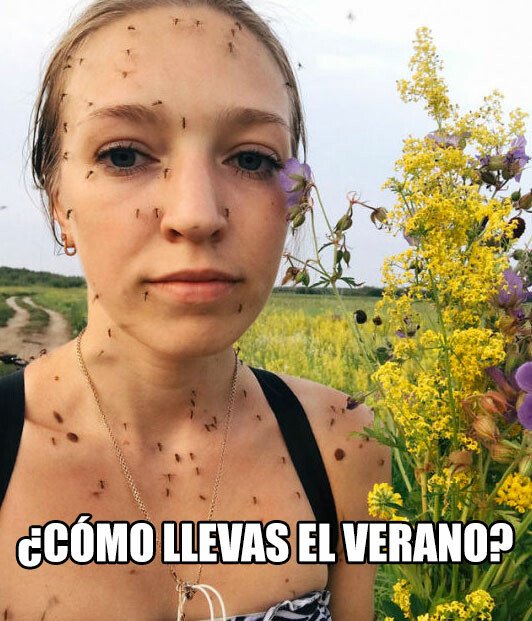 Meme_otros - ¿Qué tal se os da ahcer de buffet?