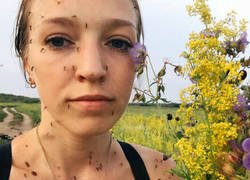 Enlace a ¿Qué tal se os da ahcer de buffet?