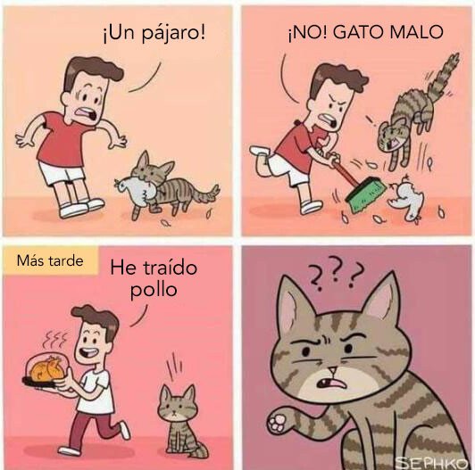 Otros - El sentido de la lógica humana