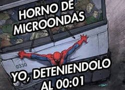 Enlace a El maestro del sigilo