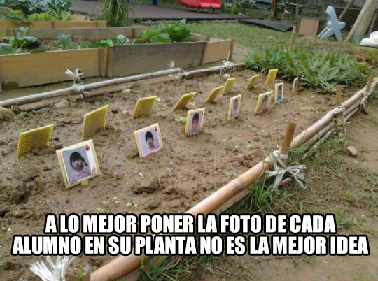 Meme_otros - Este profesor no tuvo la mejor idea