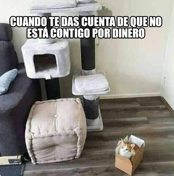 Meme_otros - Es amor de verdad