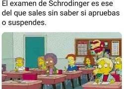 Enlace a No sabes ni cómo te llamas