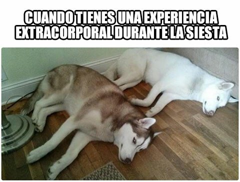Meme_otros - Algunos creen caerse, yo me salgo del todo